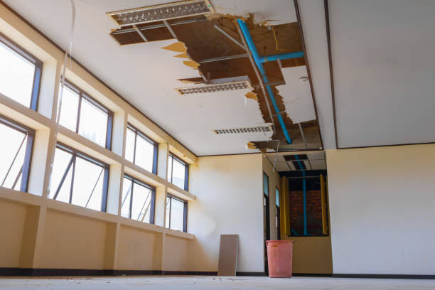 Best Professional water damage repair  in East Dennis, MA