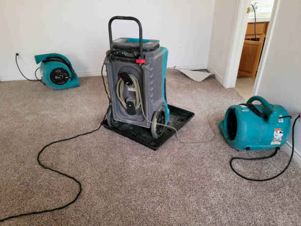 Best Basement water damage restoration  in East Dennis, MA