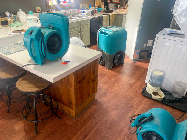 Best Water damage restoration near me  in East Dennis, MA