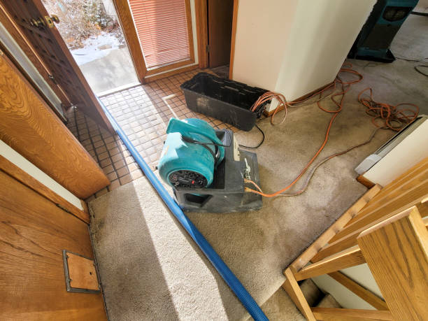 Best Residential water damage restoration  in East Dennis, MA