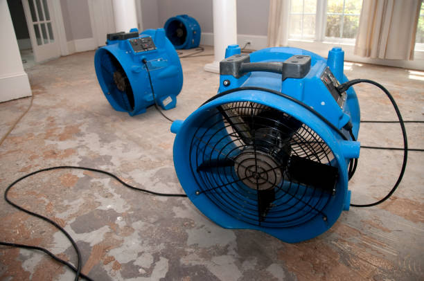 Best Water damage cleanup near me  in East Dennis, MA