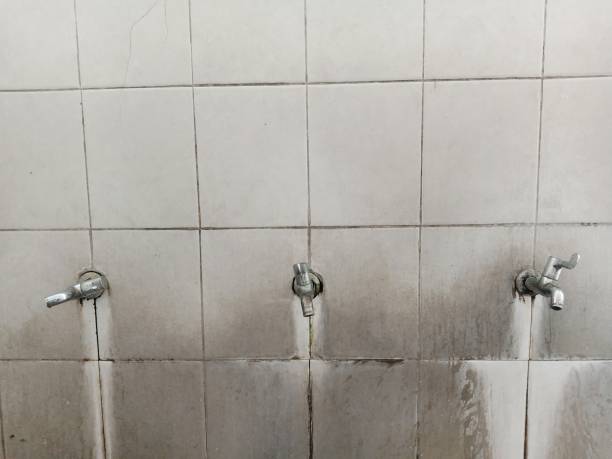 Best Water damage restoration process  in East Dennis, MA