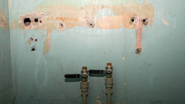 Best Sewage cleanup and water damage restoration  in East Dennis, MA