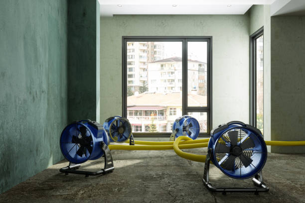 Best Local water damage restoration  in East Dennis, MA